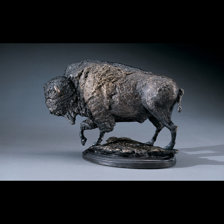 Bison by Eli Eli Hopkins