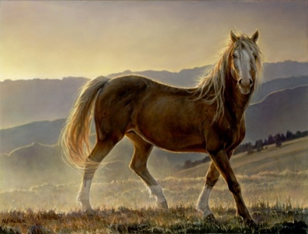 Blaze Nancy Glazier