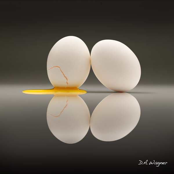 Cracked Egg David Wagner
