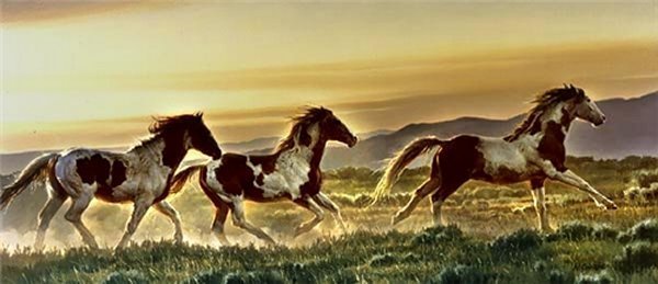 Early Morning Run Nancy Glazier