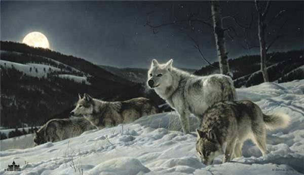 Hunters Moon Nancy Glazier