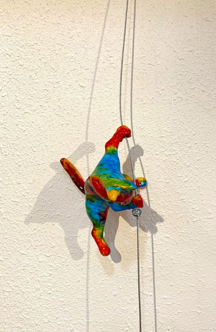 Cat Climber #1 Ancizar Marin