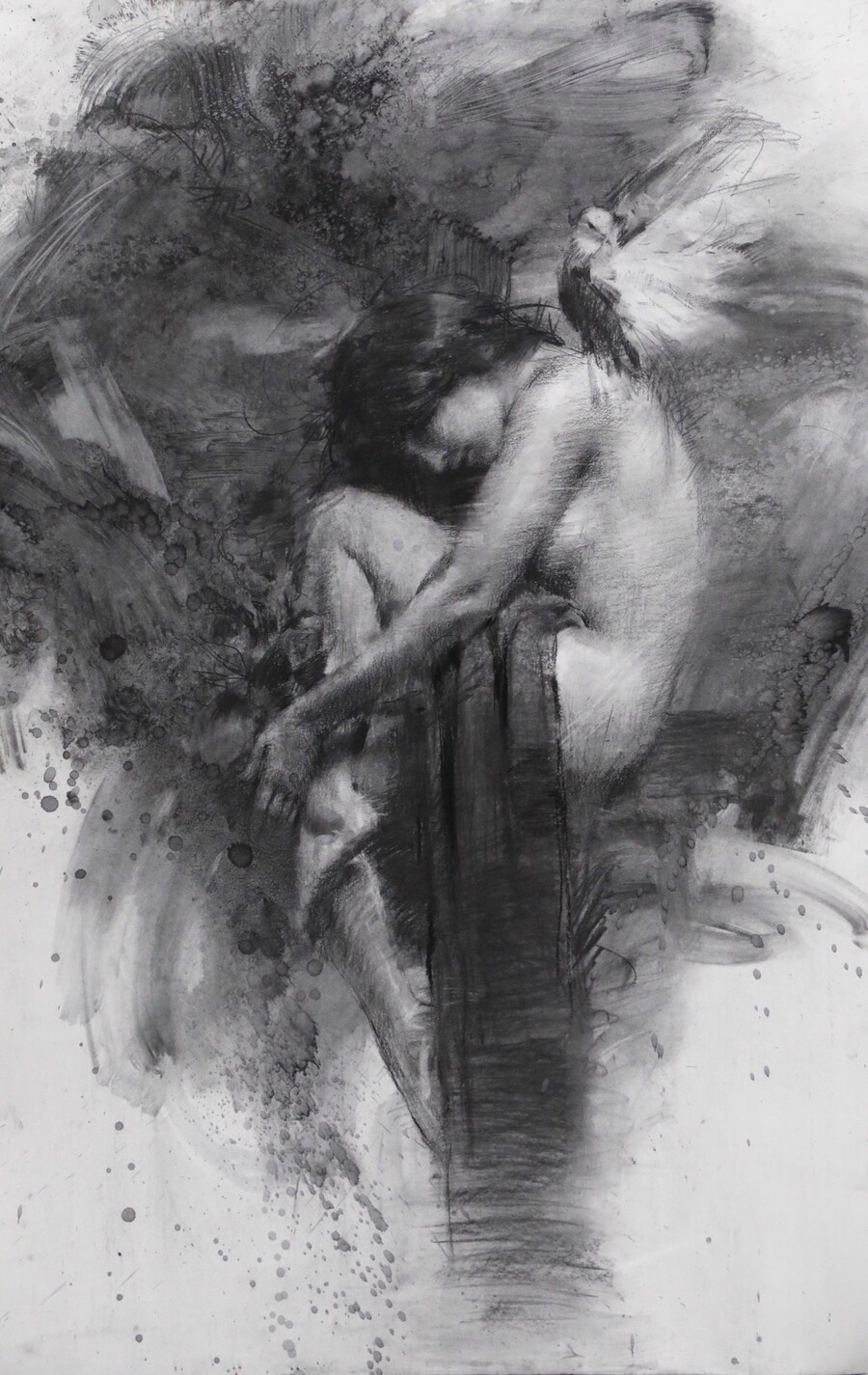 Paloma Blanca Henry Asencio