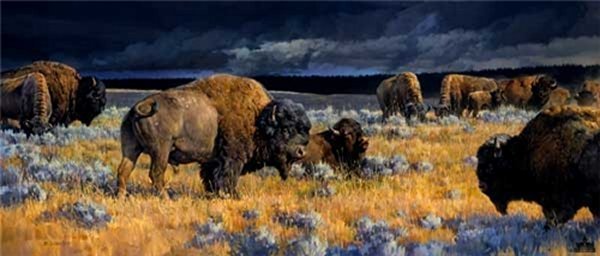Restless Nancy Glazier