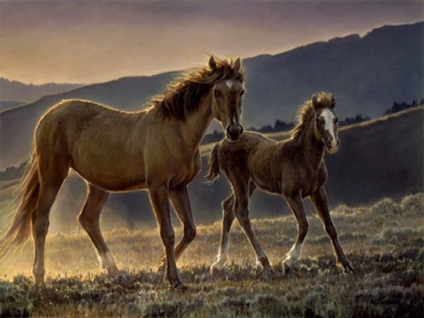Star and Her Foal Nancy Glazier