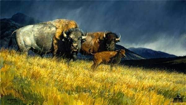 Stormy Nancy Glazier