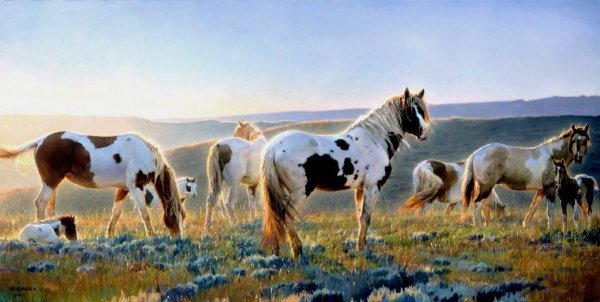Welcome the Dawn Nancy Glazier