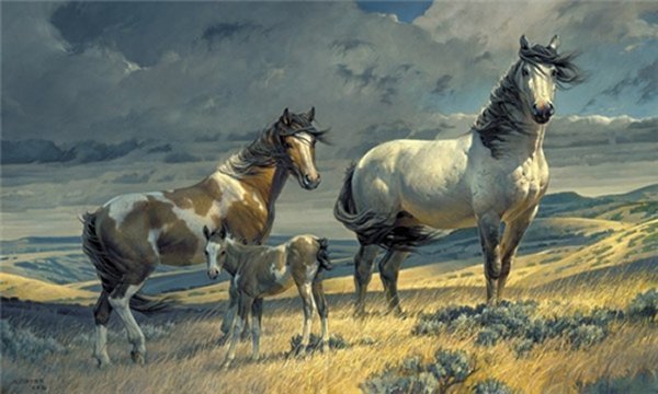 Windy Ridge Nancy Glazier