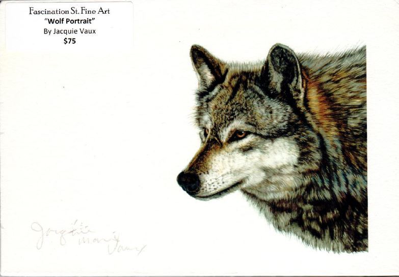 Wolf Portrait Jacquie Vaux