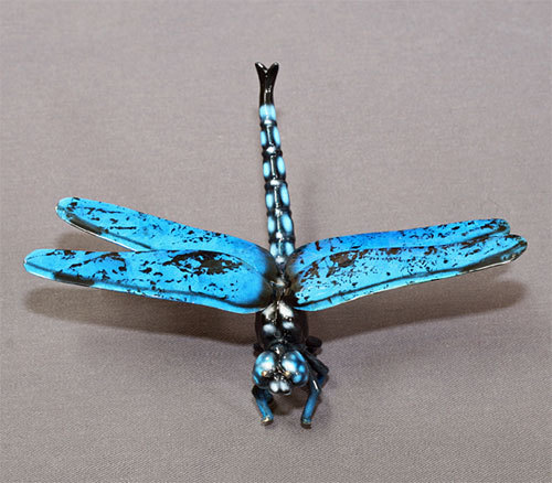 Dragonfly Barry Stein