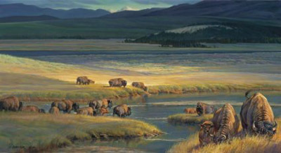 Buffalo Valley Nancy Glazier