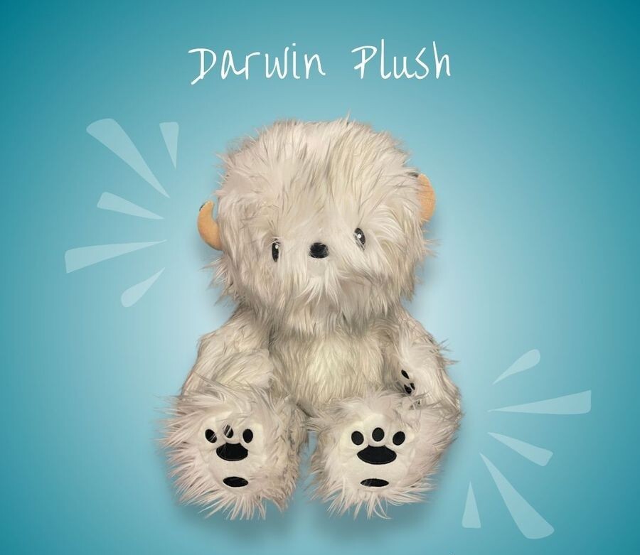 Darwin Plush Fabio Napoleoni