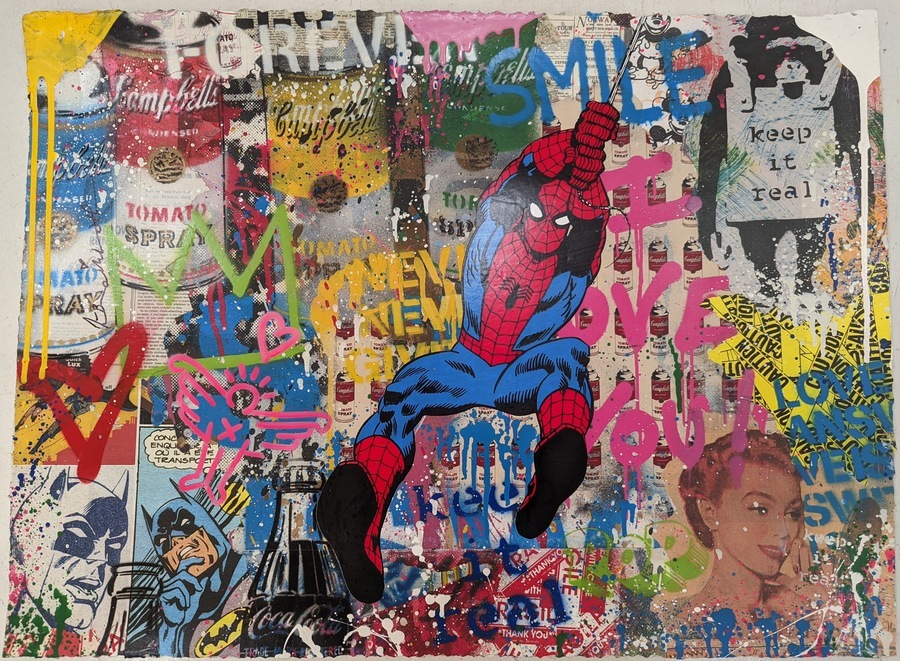 Spider - man Mr. Brainwash