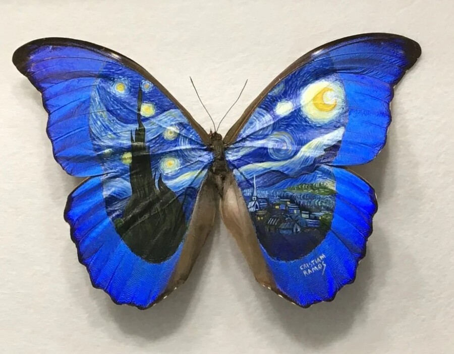 The Starry Night Cristiam Ramos