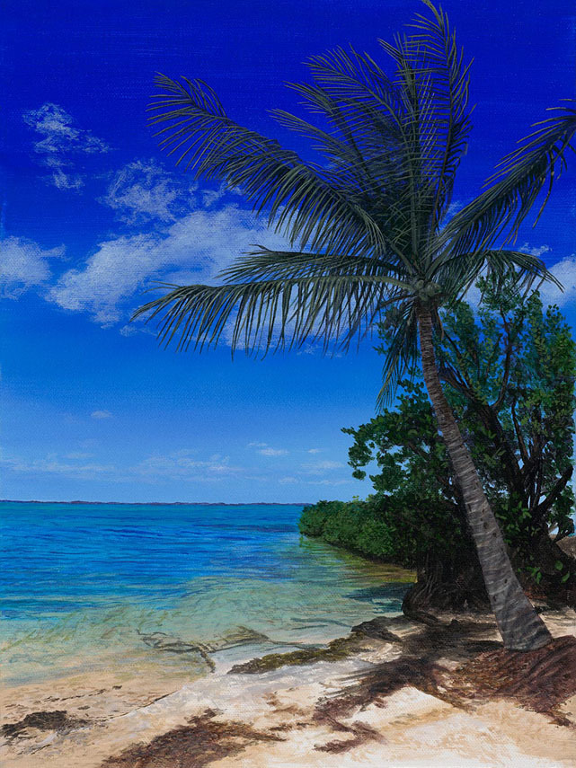 Some Beach Somewhere Phillip Anthony